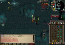 Screenshot of Zenyte shard