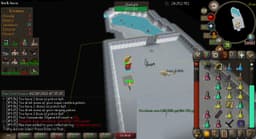 Screenshot of Saradomin sword