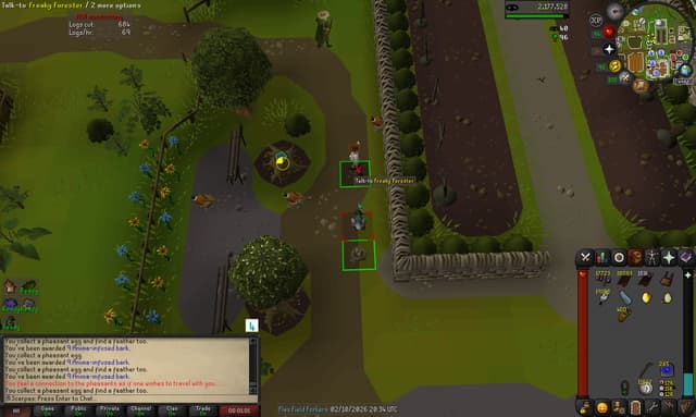 Screenshot of Golden pheasant egg