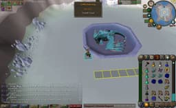 Screenshot of Vorkath's head