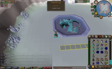 Screenshot of Vorkath's head
