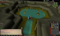 Screenshot of Pet Kraken
