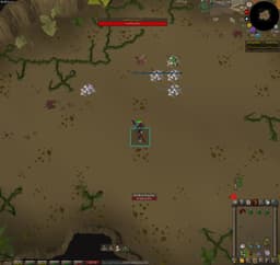 Screenshot of Belle's folly