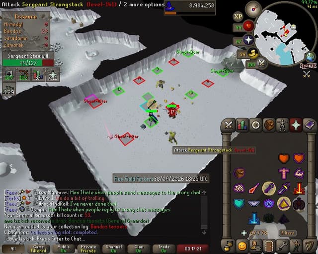 Screenshot of Bandos tassets