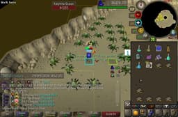 Screenshot of Dragon chainbody