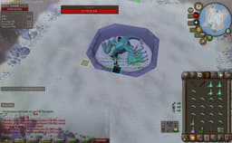 Screenshot of Vorkath's head
