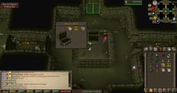 Screenshot of Dharok's greataxe