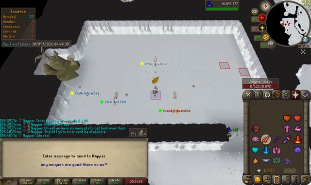 Screenshot of Armadyl chestplate