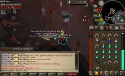 Screenshot of Antler guard