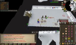 Screenshot of Armadyl chainskirt