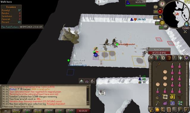 Screenshot of Armadyl chainskirt