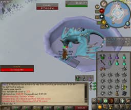 Screenshot of Vorkath's head