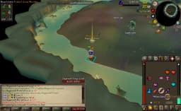 Screenshot of Berserker ring