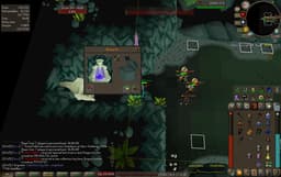 Screenshot of Dragon hunter crossbow