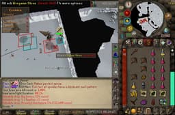 Screenshot of Armadyl chestplate