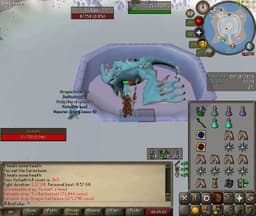 Screenshot of Vorkath's head