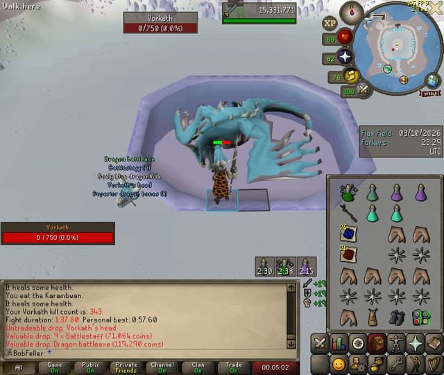 Screenshot of Vorkath's head