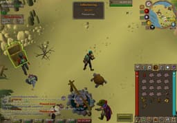 Screenshot of Pheasant legs