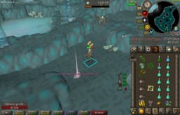 Screenshot of Zenyte shard