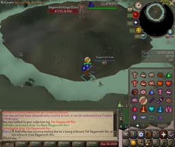Screenshot of Pet Dagannoth Rex
