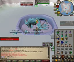 Screenshot of Vorkath's head