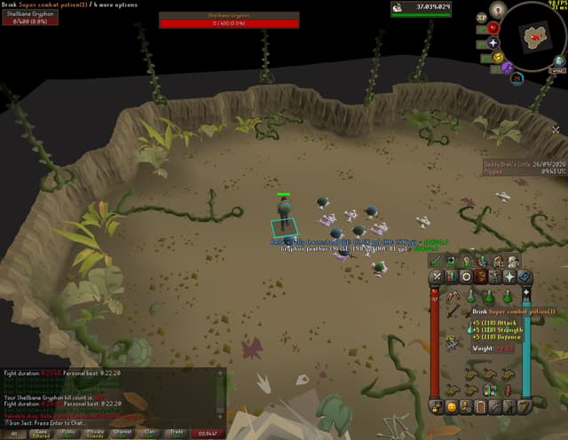 Screenshot of Belle's folly (tarnished)