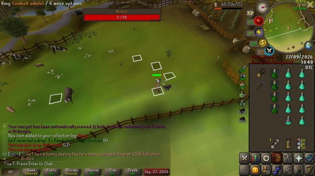 Screenshot of Beef