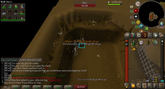 Screenshot of Hill giant club