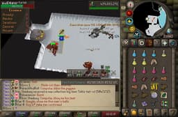 Screenshot of Zamorakian spear