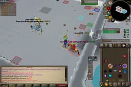 Screenshot of Saradomin hilt