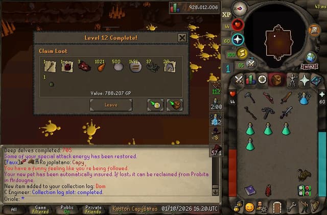 Screenshot of Dom