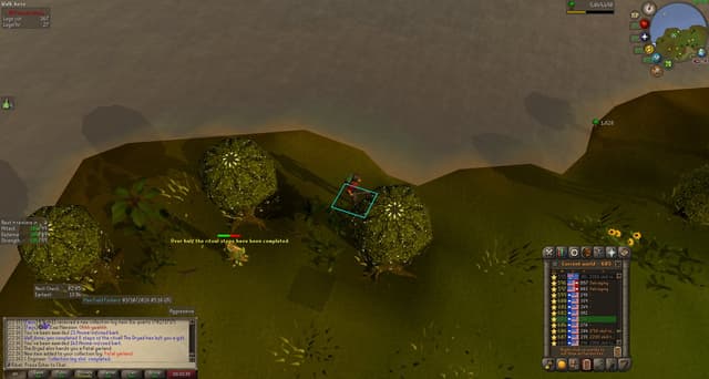 Screenshot of Petal garland