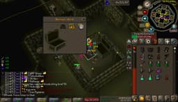 Screenshot of Karil's leathertop