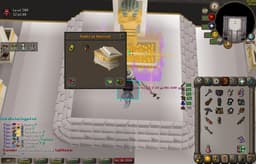 Screenshot of Lightbearer