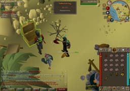 Screenshot of Pheasant boots