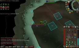 Screenshot of Berserker ring