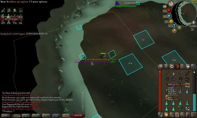 Screenshot of Berserker ring