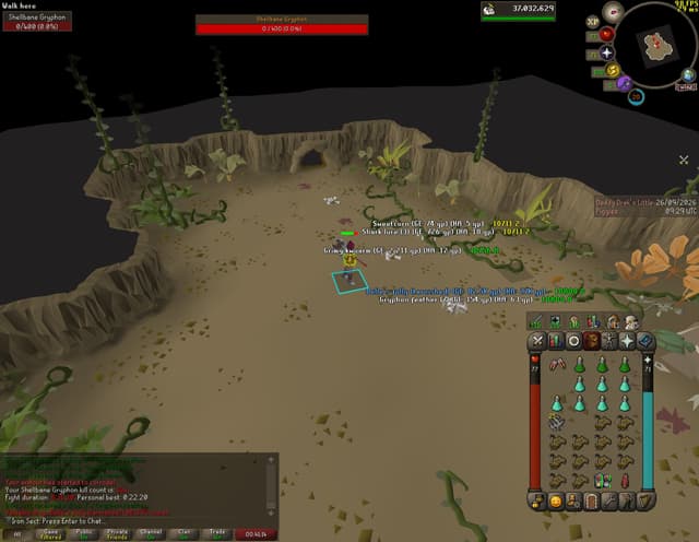 Screenshot of Belle's folly (tarnished)