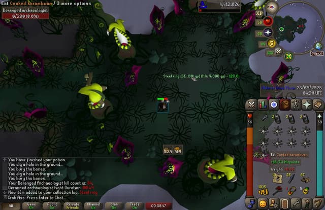 Screenshot of Steel ring