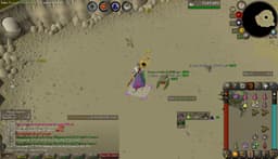 Screenshot of Dragon chainbody
