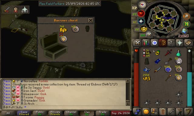 Screenshot of Guthan's chainskirt