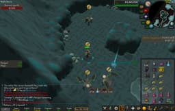 Screenshot of Zenyte shard