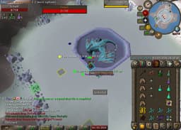 Screenshot of Vorkath's head