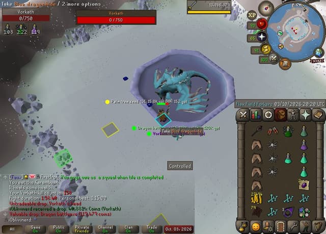 Screenshot of Vorkath's head