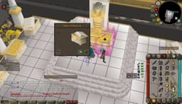 Screenshot of Tumeken's shadow (uncharged)