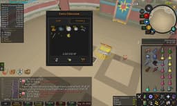 Screenshot of Sunfire fanatic helm