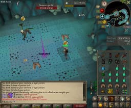 Screenshot of Zenyte shard