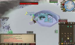 Screenshot of Vorkath's head