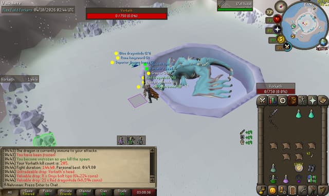 Screenshot of Vorkath's head