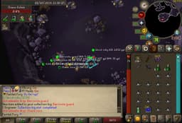 Screenshot of Barronite guard
